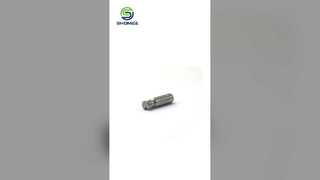 Dental Gypsum Replica