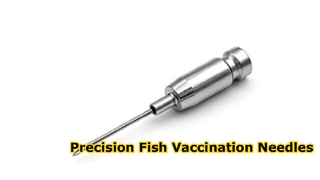 Fish Vaccination Needle